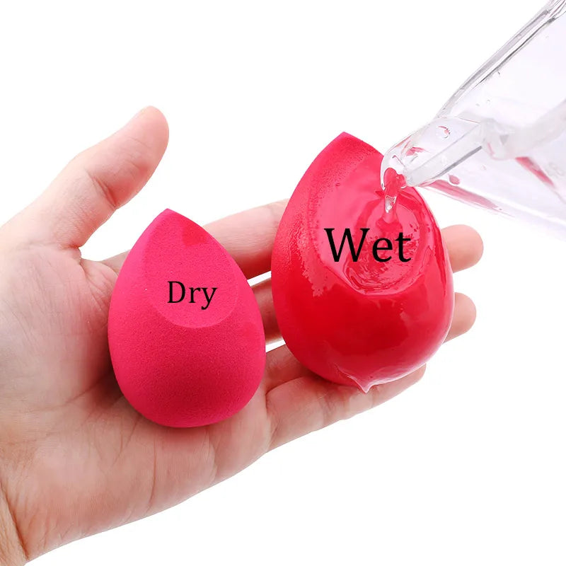 Makeup Sponge